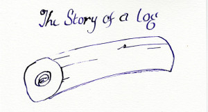 IMG_The Story of a Log